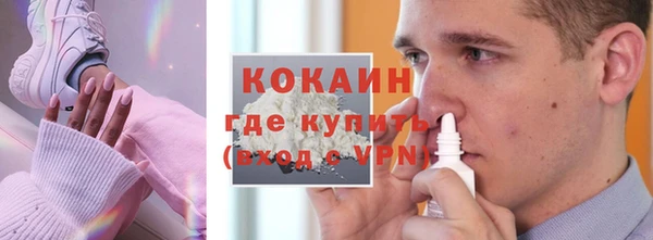 крисы Алексин